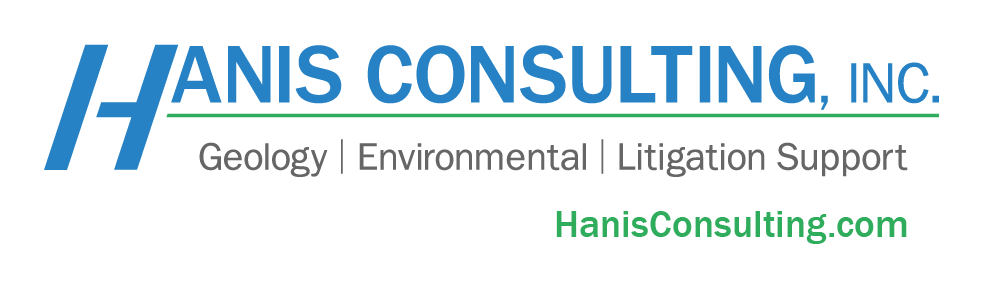 Hanis Consulting, Inc. Logo