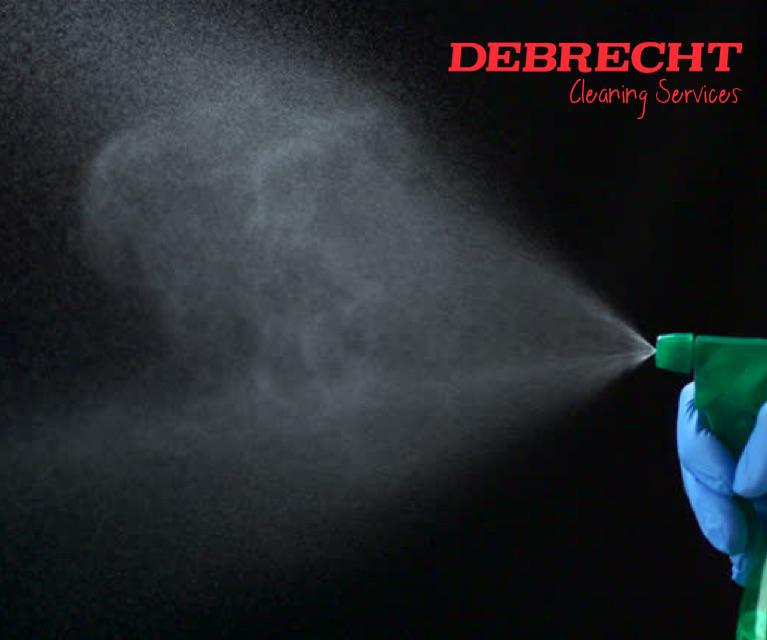 Debrecht House Cleaning Services Logo