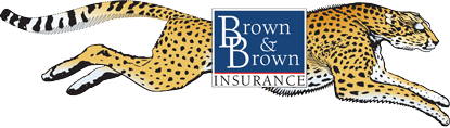 Brown & Brown Insurance Brokers of Sacramento, Inc. | 5750 W Oaks Blvd Ste 140, Rocklin, CA, 95765 | +1 (800) 228-3380