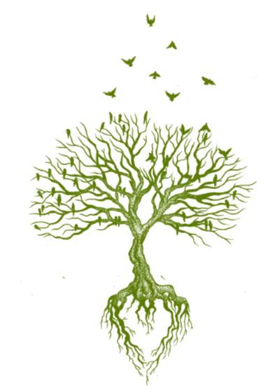 MI+Roots Logo