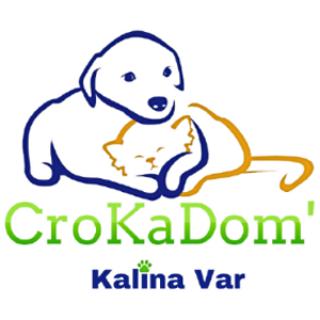 CROKADOM' Logo