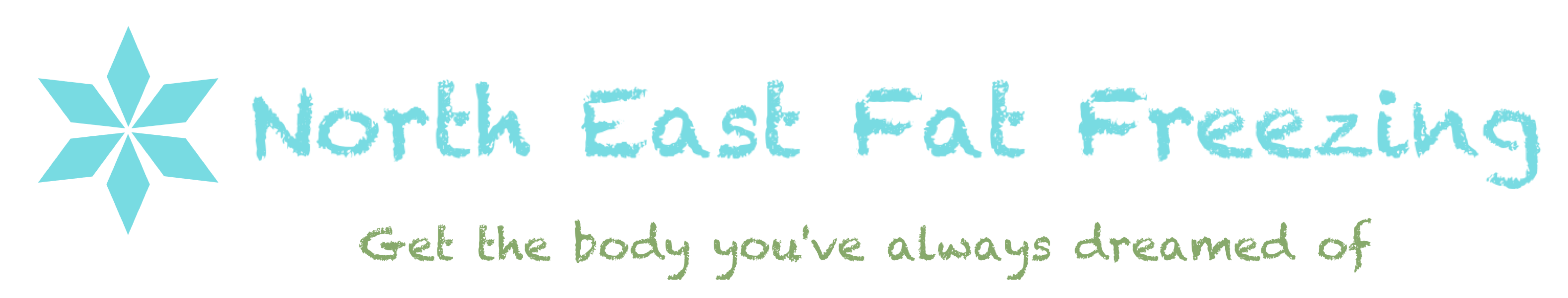 North East Fat Freezing Logo
