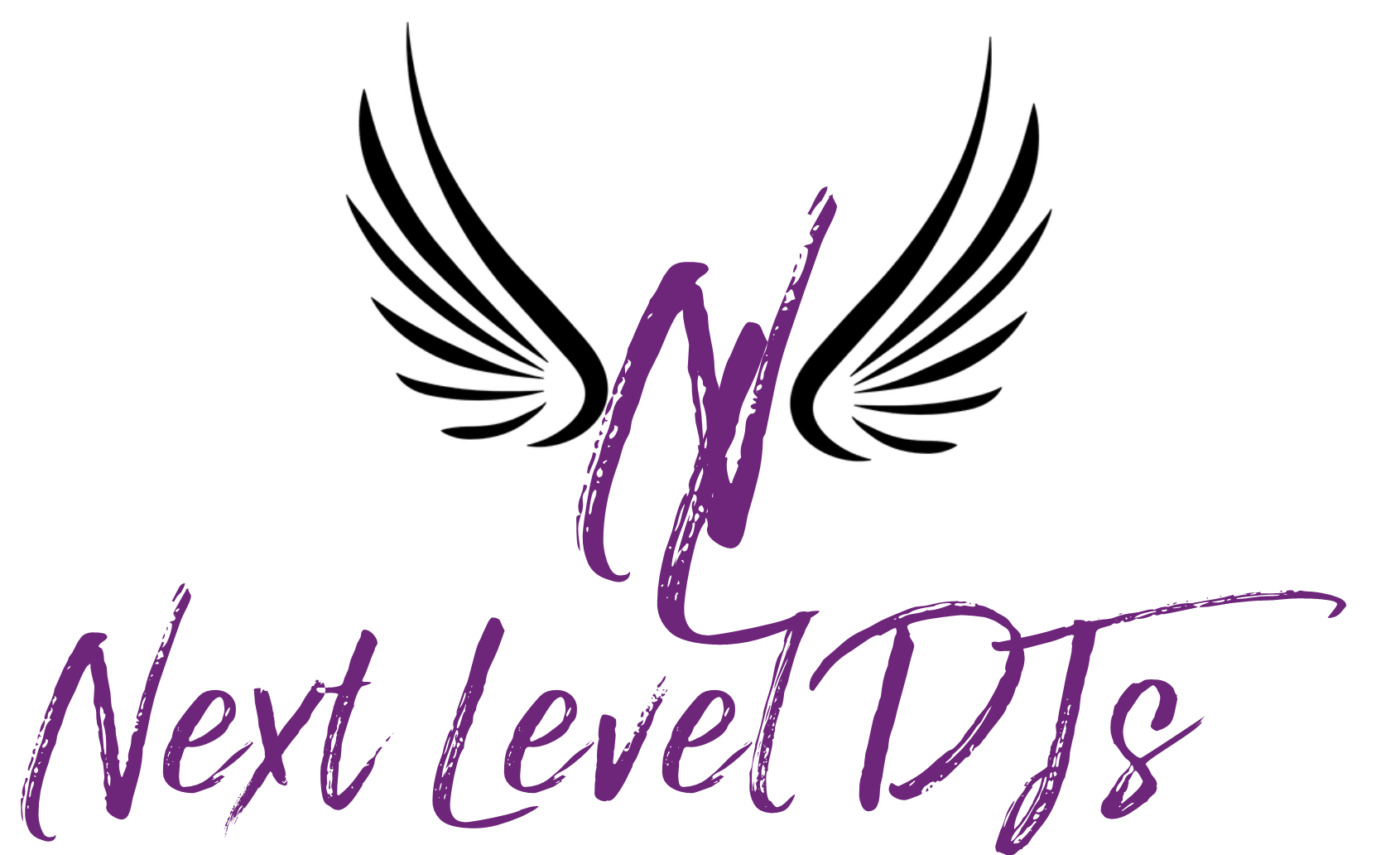The Next Level DJs, LLC Logo
