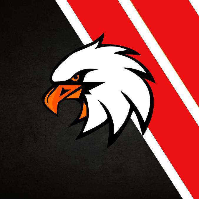 Eagle eSport Logo