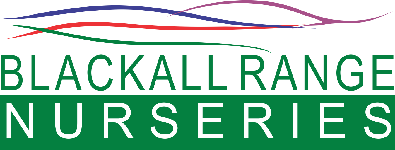 Blackall Range Nurseries Logo