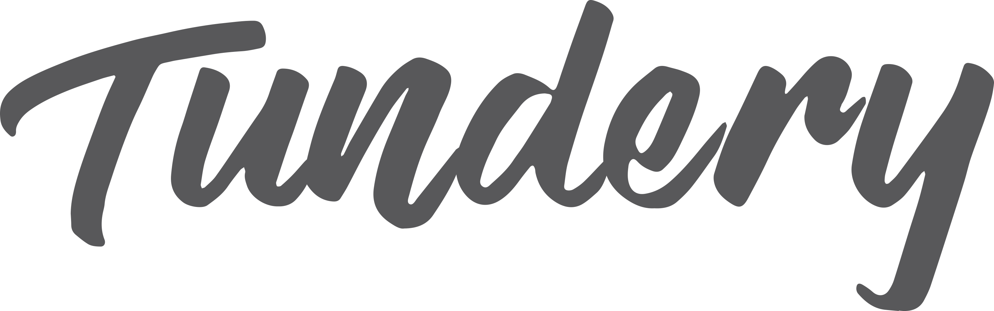 TUNDERY Logo