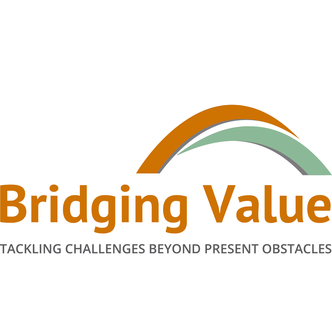 Bridging Value LLC Logo
