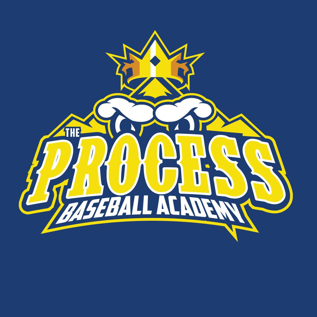 The Process Baseball Academy  Logo