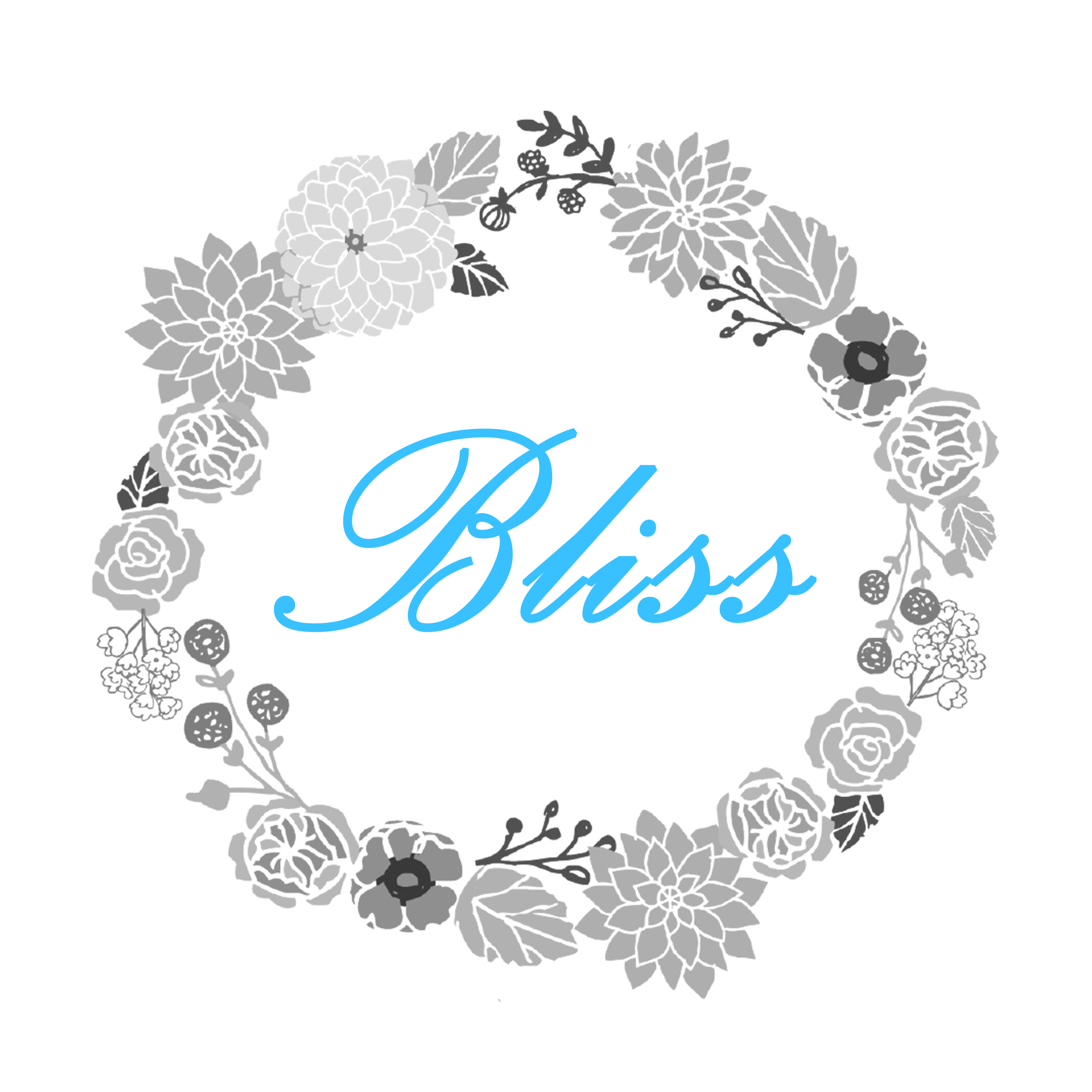 Bliss Photography and Films Logo