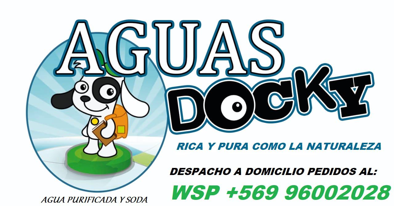 AGUAS DOCKY Logo