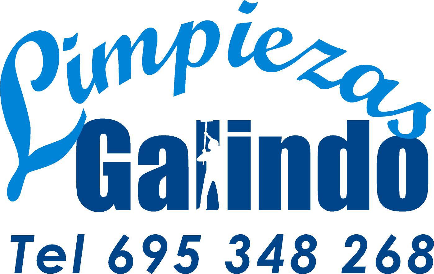 limpiezas galindo Logo