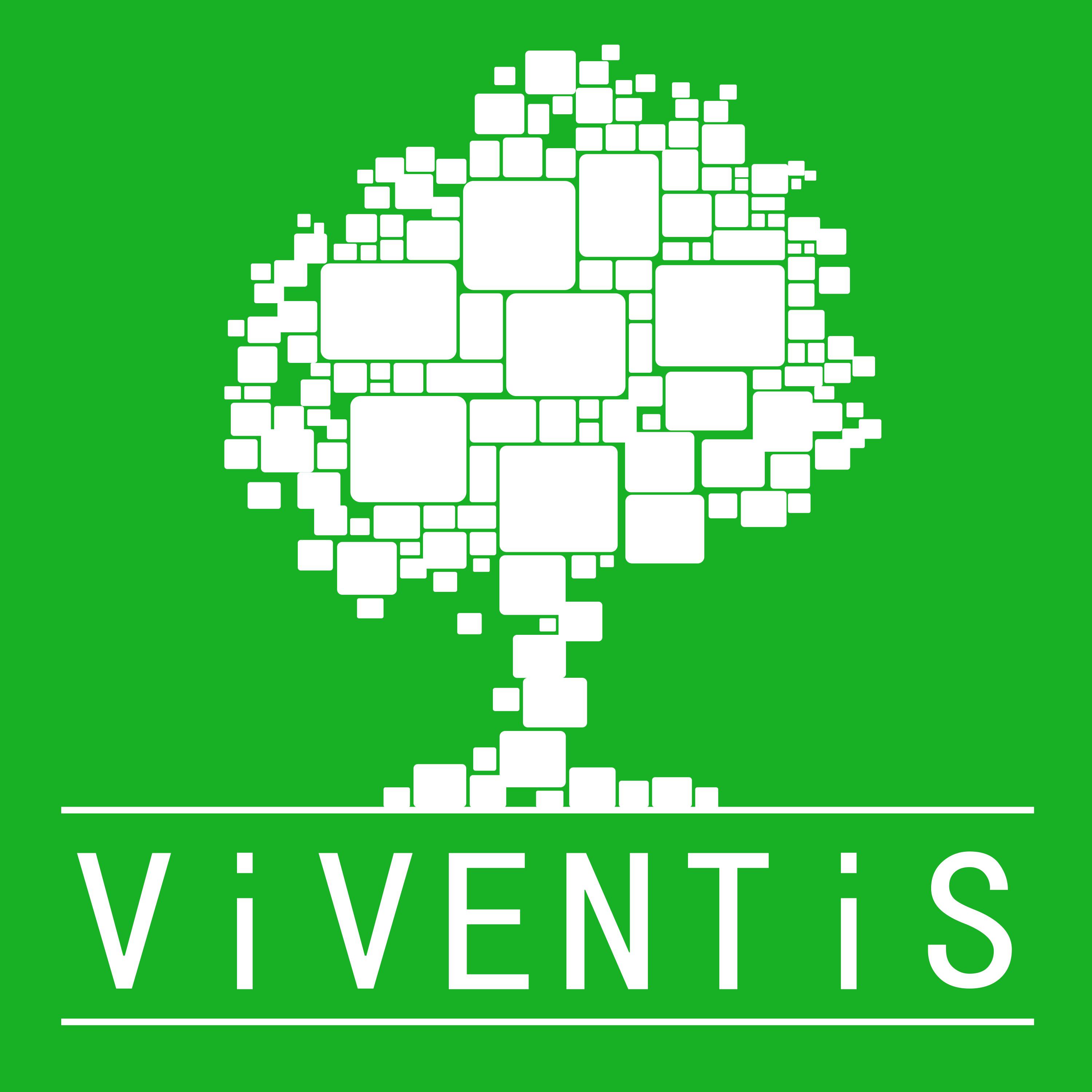 CV Reconstruction Viventis Logo