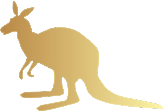 The Kangaroo International Logo