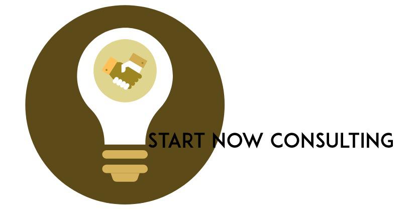 Start Now Consulting LLC Logo