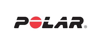 Polar México Logo
