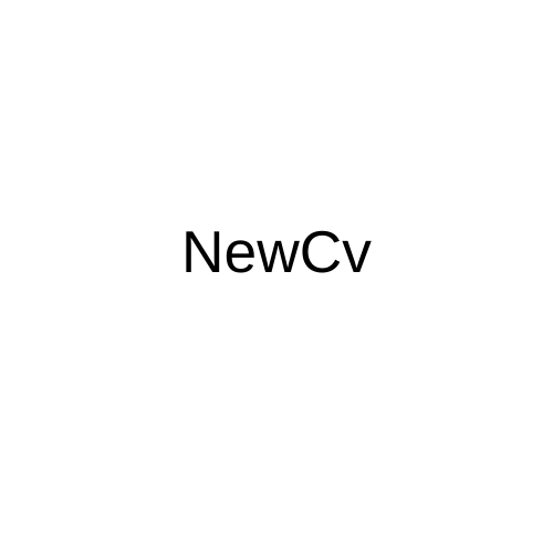 NewCv Logo