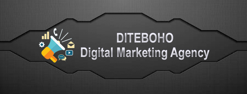Diteboho Digital Marketing Agency Logo