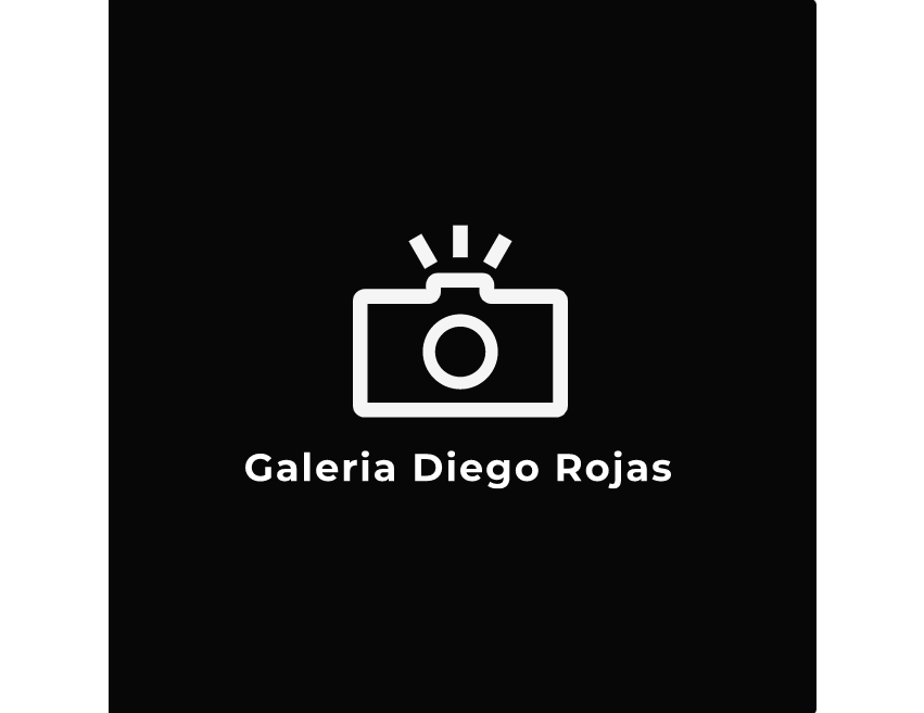 Galeria Diego Rojas Logo
