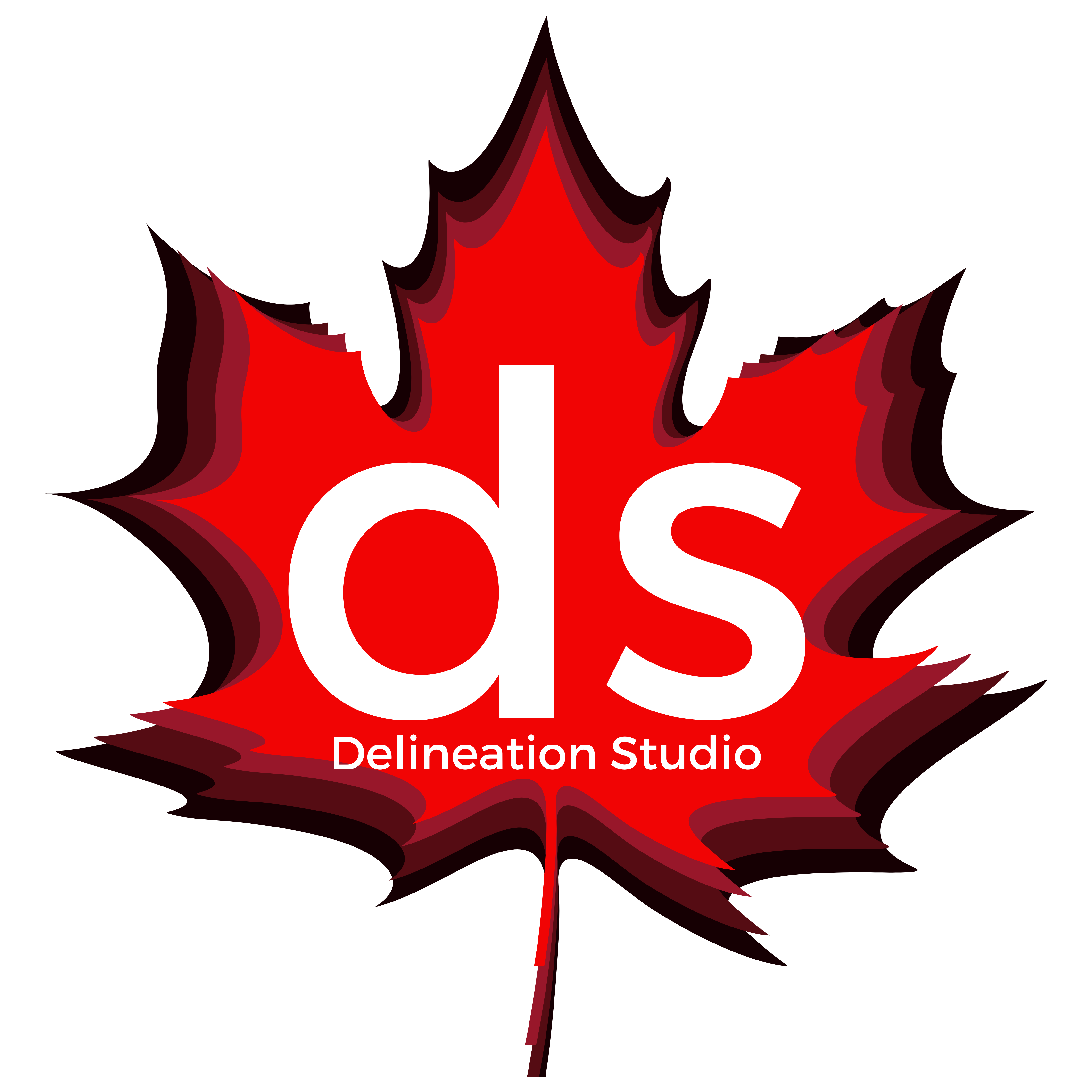 Delineation Studio Logo
