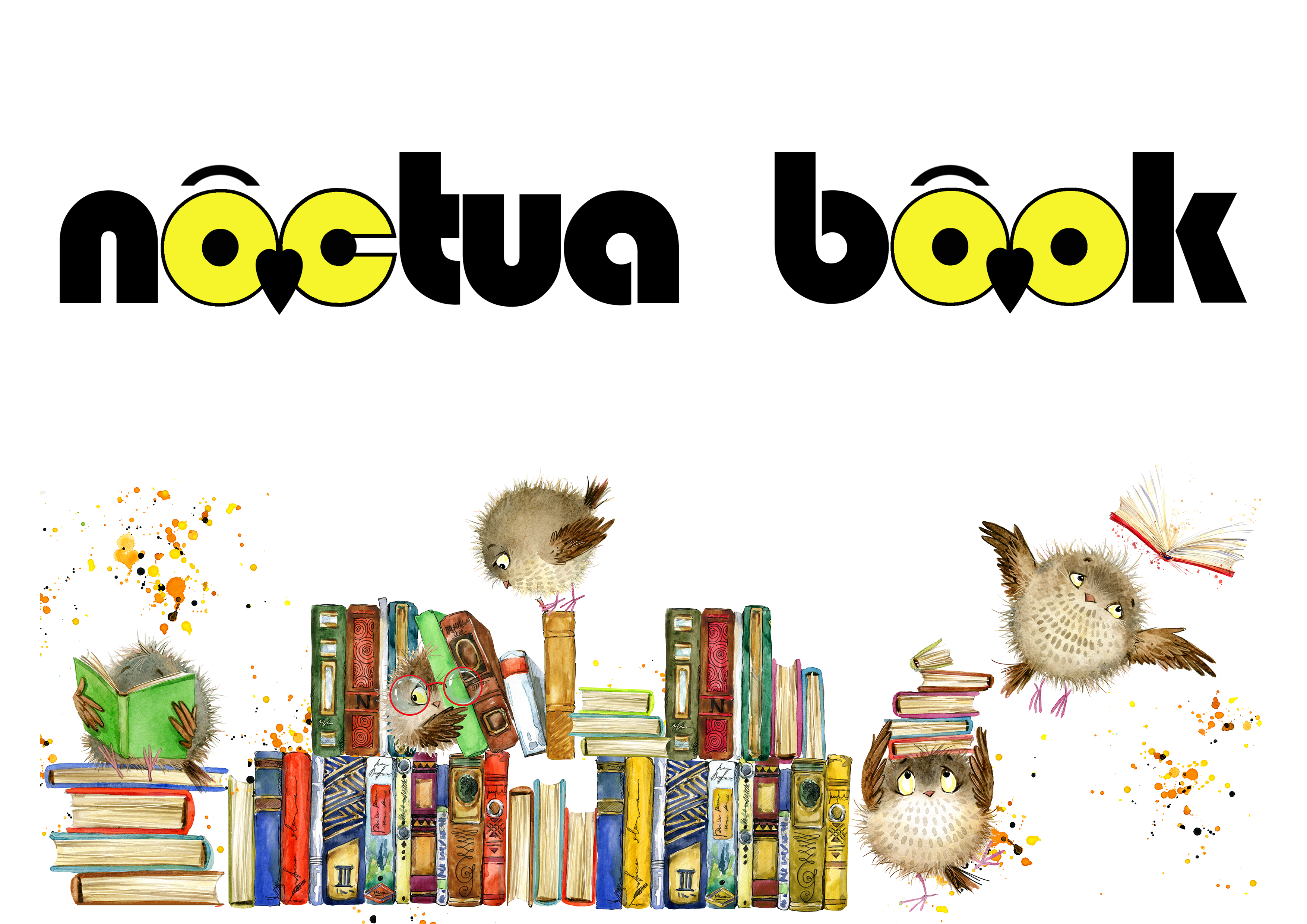 Noctua Book Logo