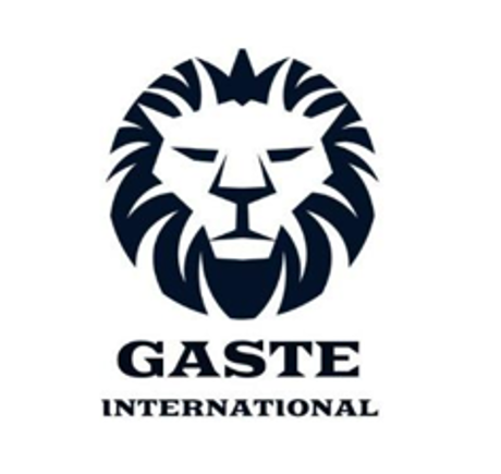 GASTE International Logo