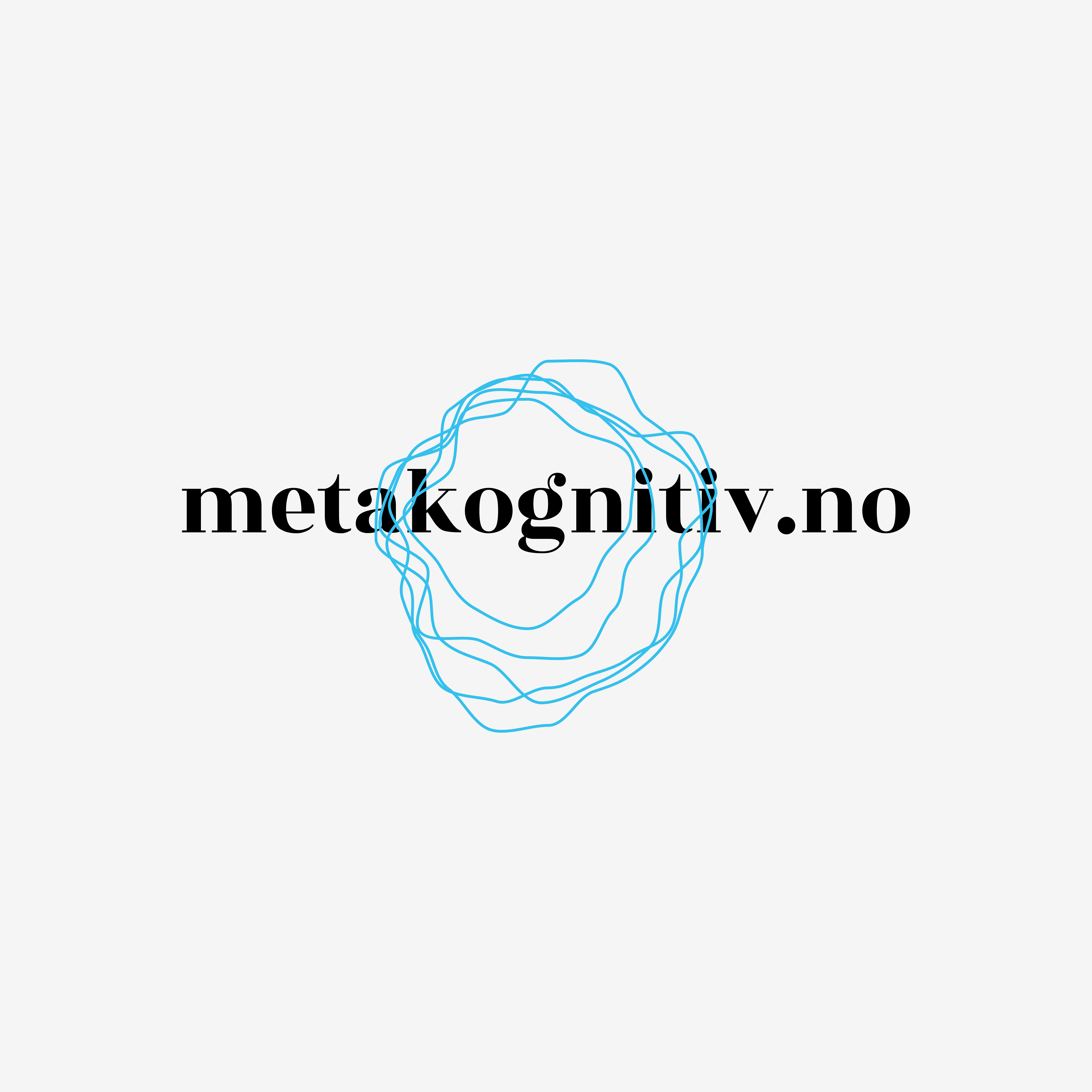 metakognitiv.no Logo