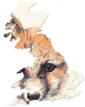 National Fox Welfare Society Logo
