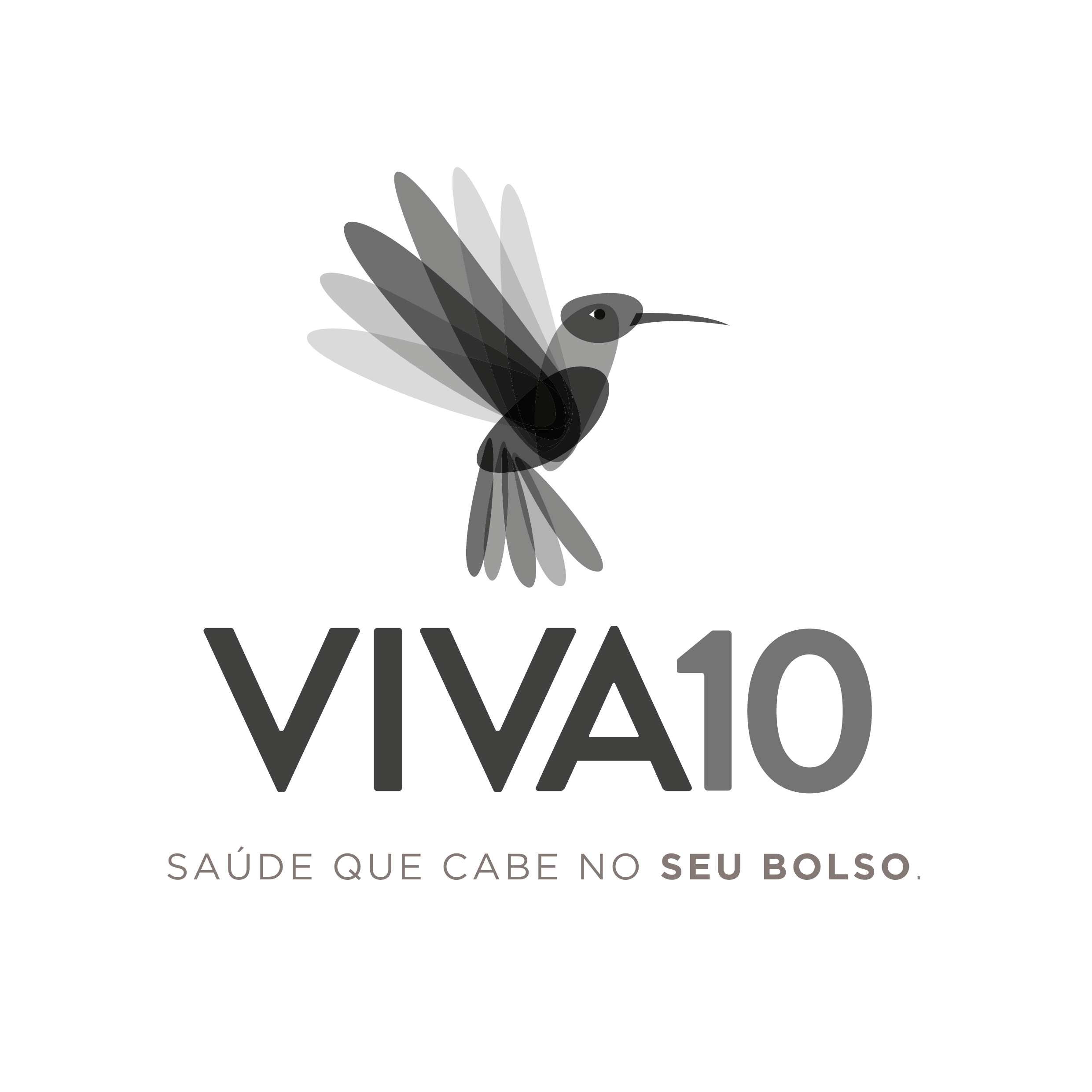 VIVA10 Logo