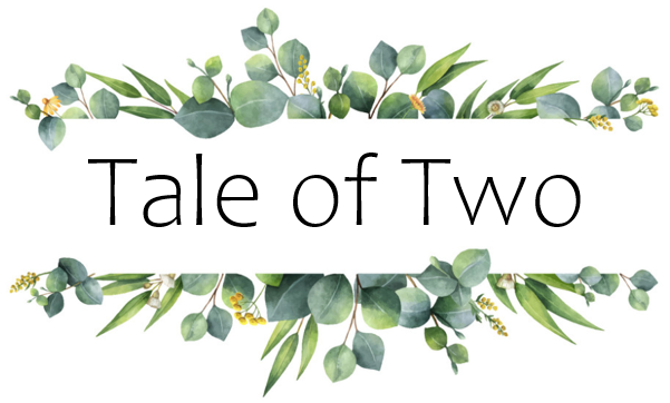 Tale of Two Elopements Logo