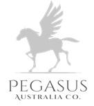 Pegasus Outsourcing Logo