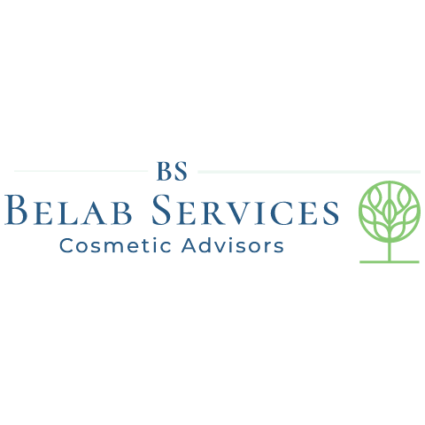 Belab Services Consultores Logo