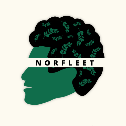 Norfleet Real Estate LLC Logo