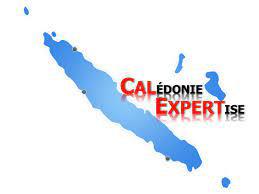 CALEXPERT NC Logo