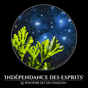 Indépendance des Esprits Logo