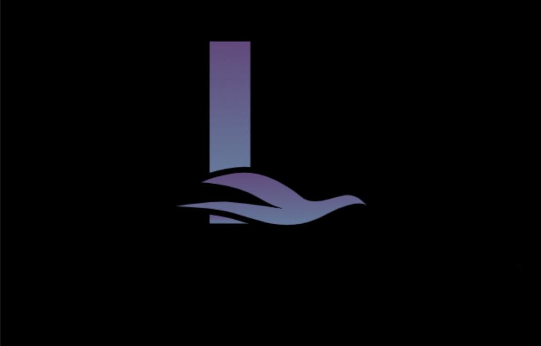 Lagyc Group Zadar Logo