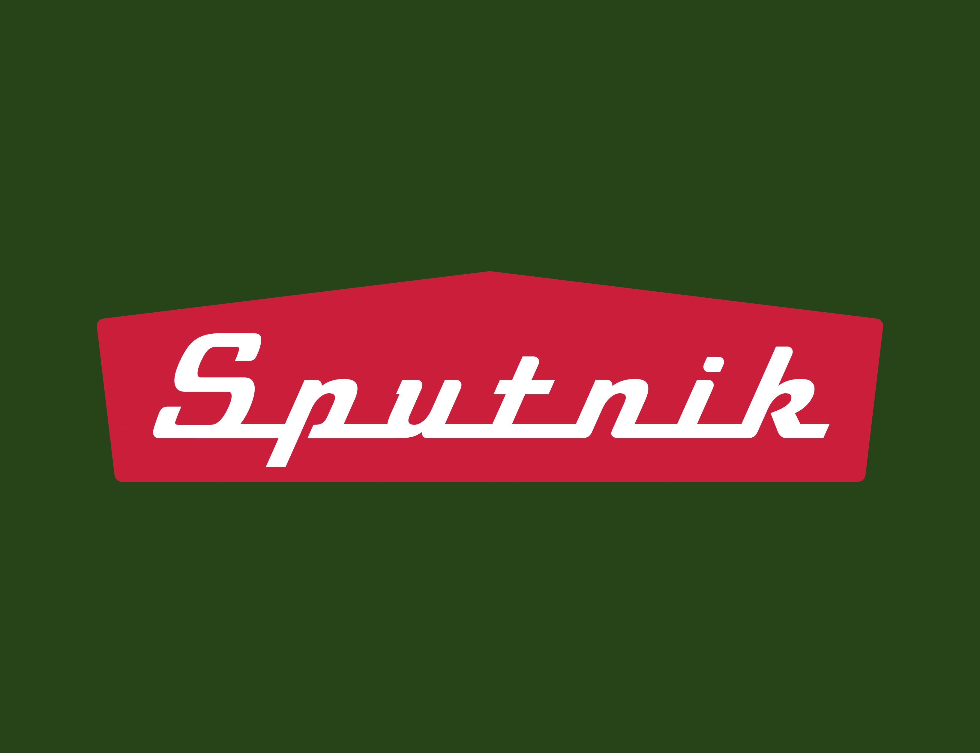 Sputnik camper Logo