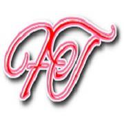 Fashion FT Logo