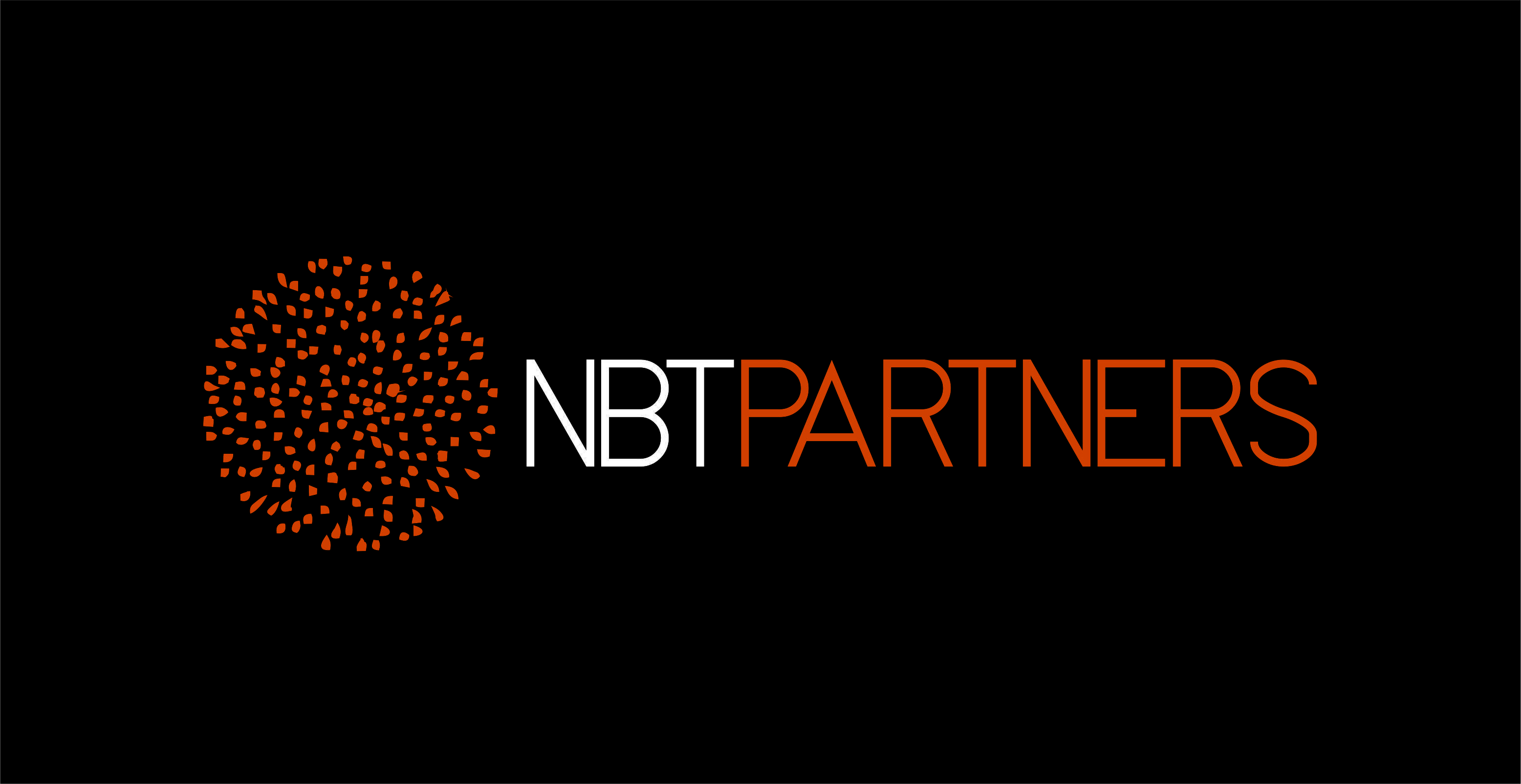 NBT Ventures Logo