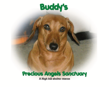 Buddy's Precious Angels Sanctuary Inc Logo