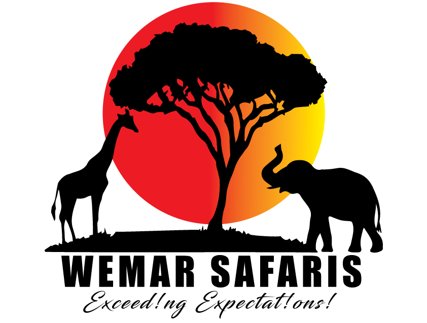 Wemar Safaris Logo