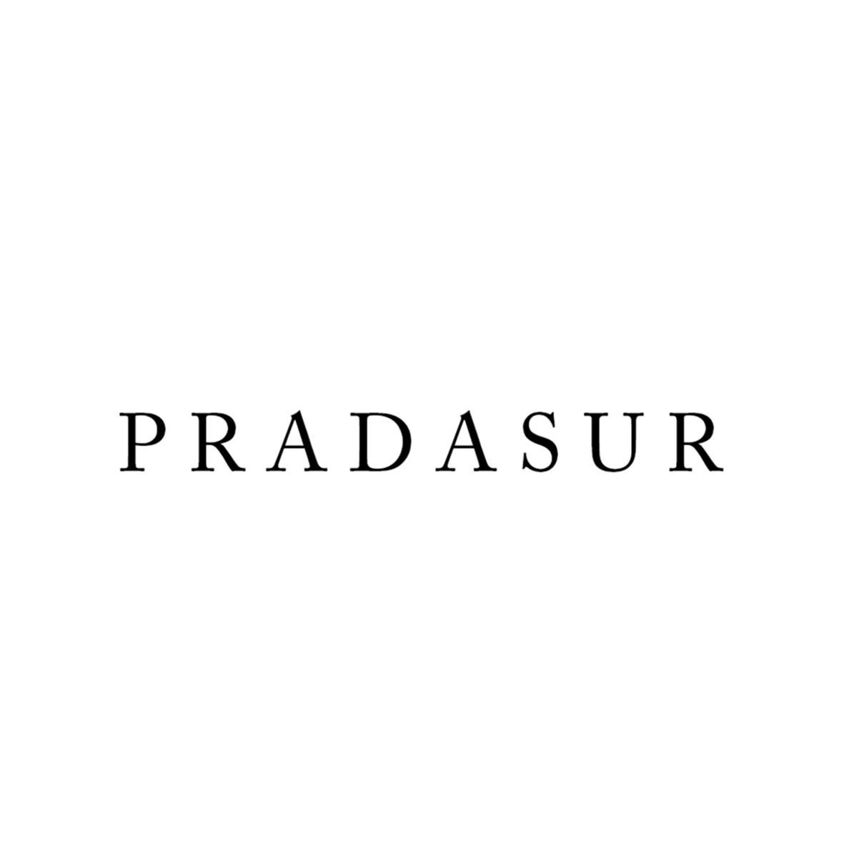 Pradasur Fotografía Logo