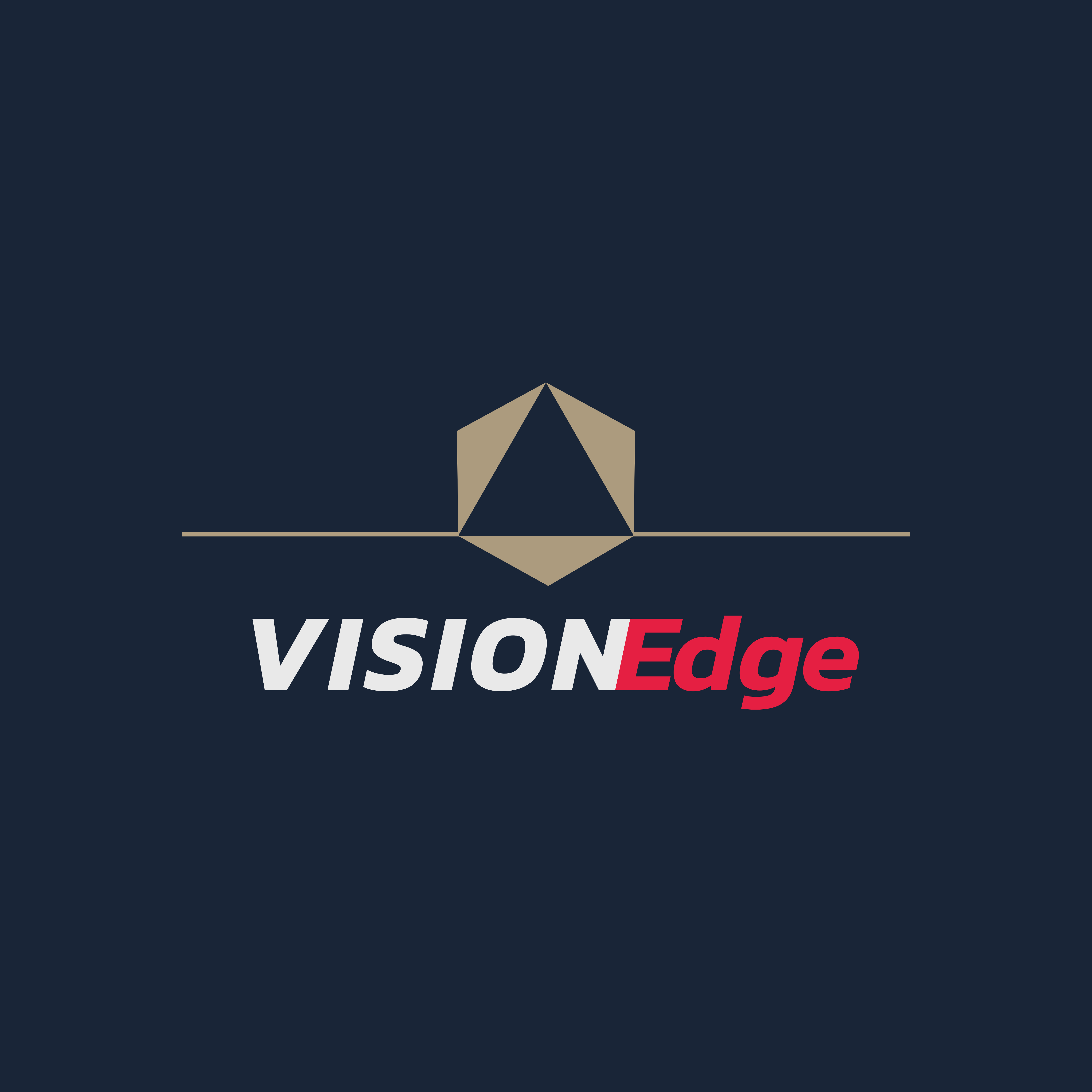 VisionEdge Information Technology Co.Ltd Logo