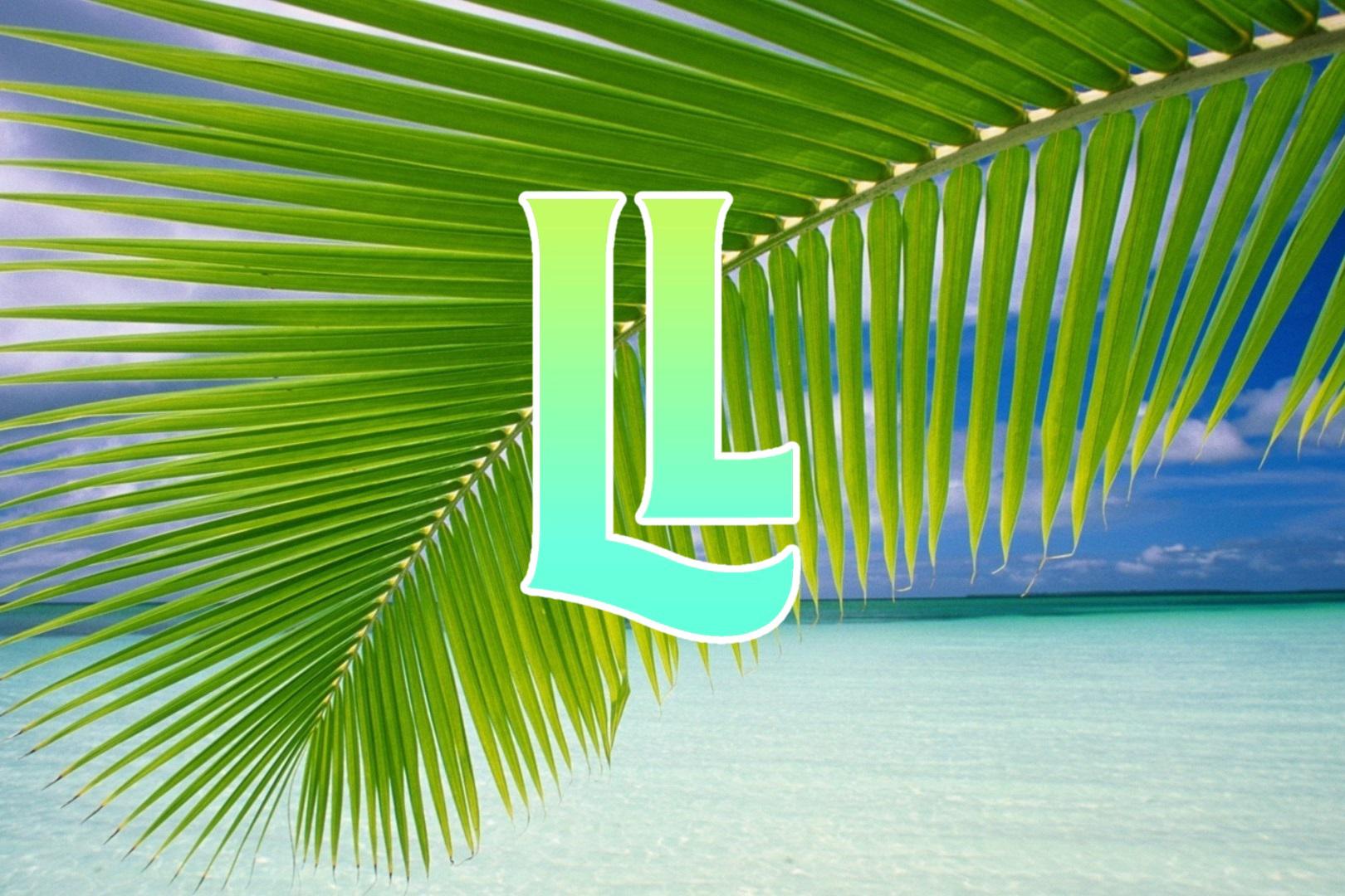 Libera Lifepath Logo