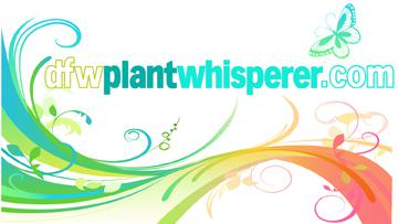 DFWPlantWhisperer.com Logo