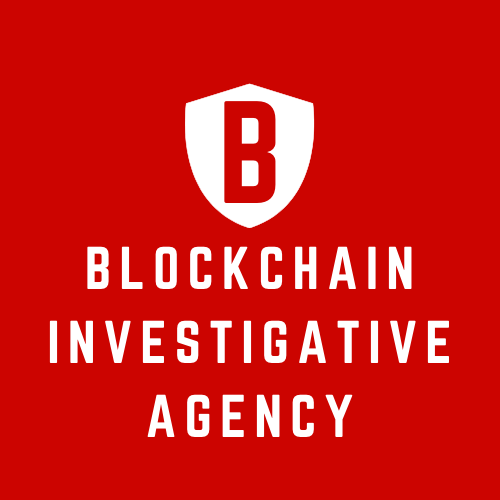 Blockchain Investigation Agency Logo