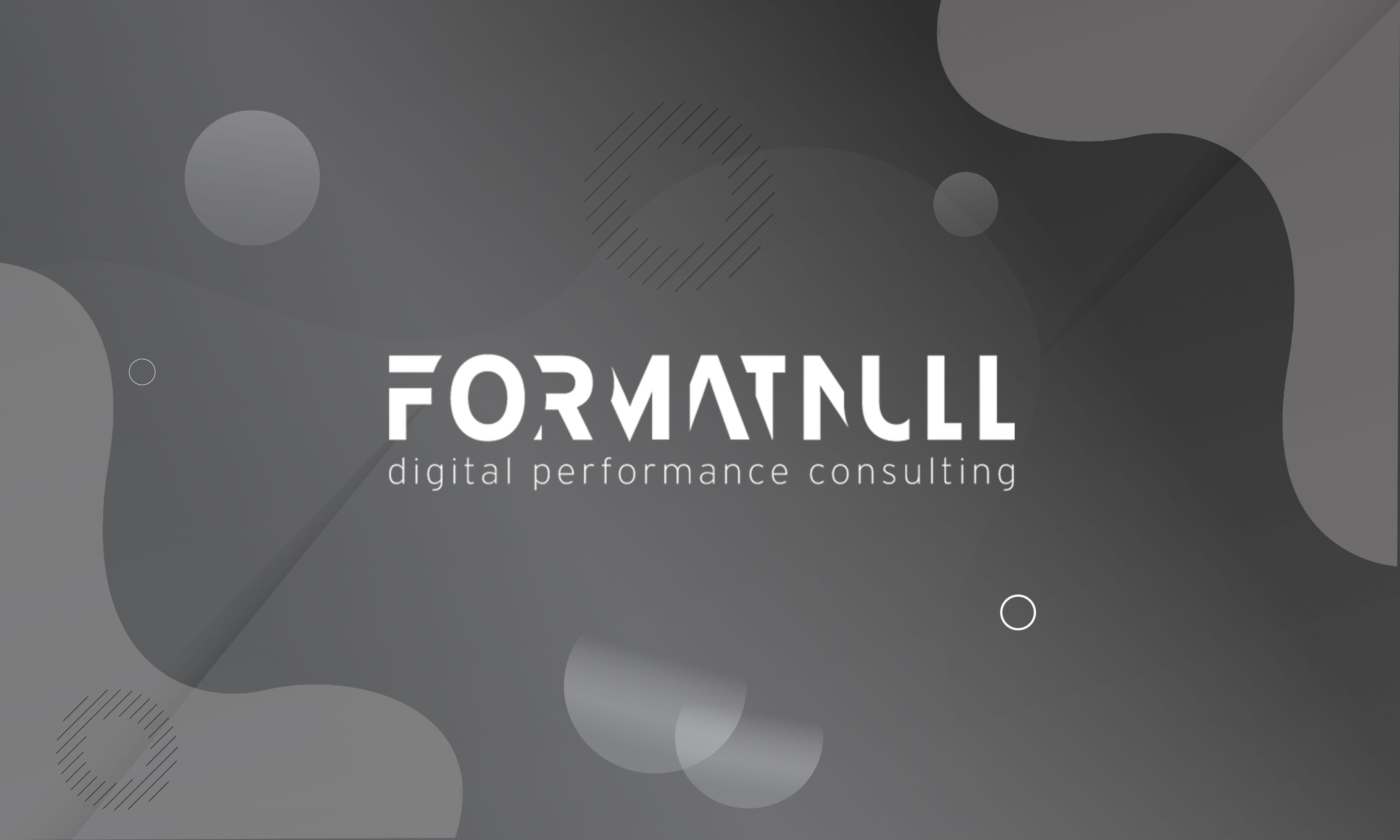 formatnull Inc Logo