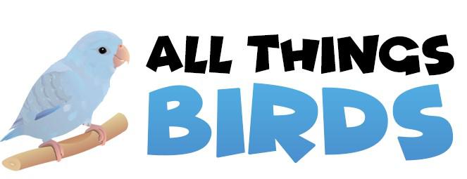 All Things Birds Logo