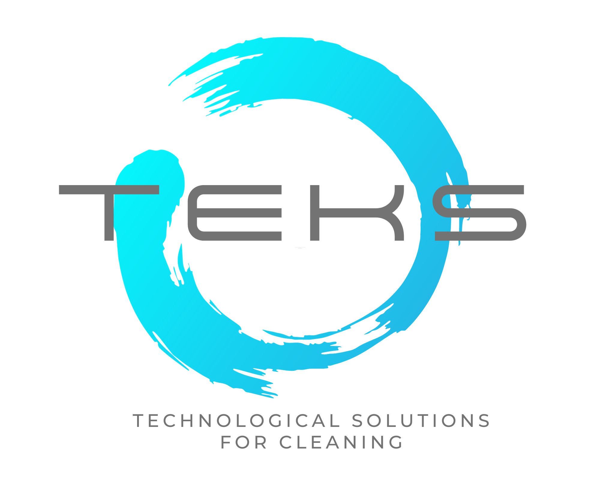 TEKS Logo