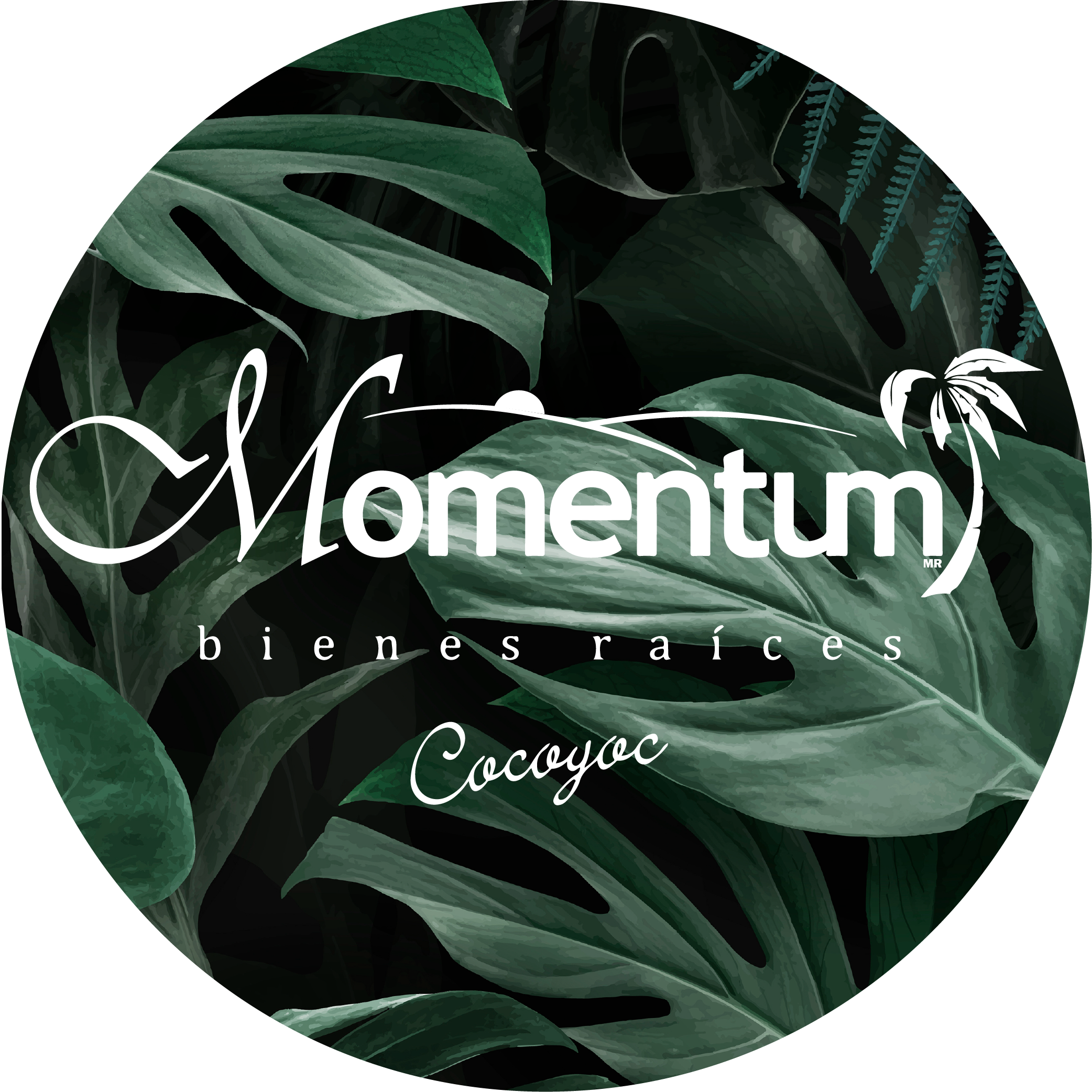 Momentum Cocoyoc Logo