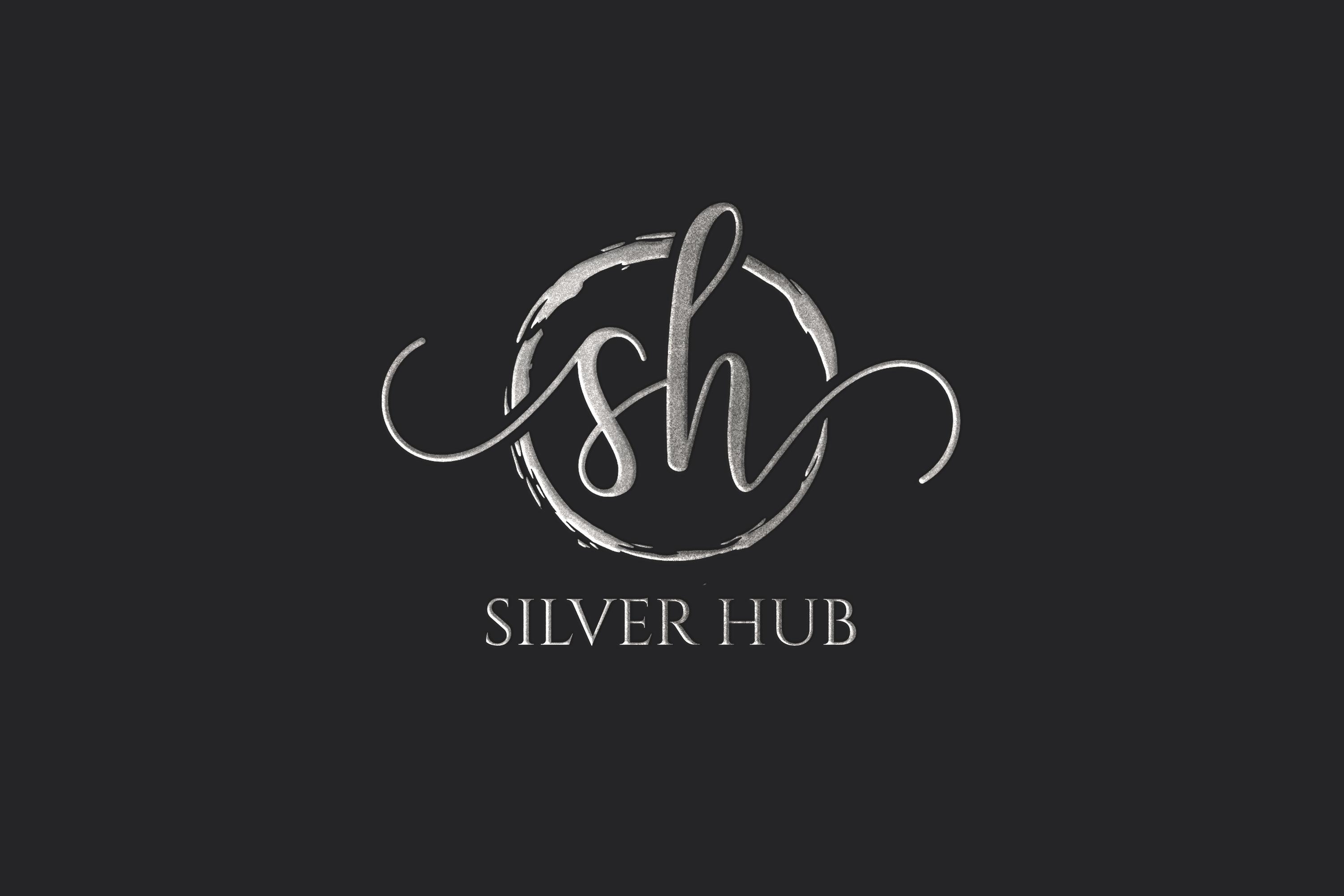 Silver hub 7  Logo